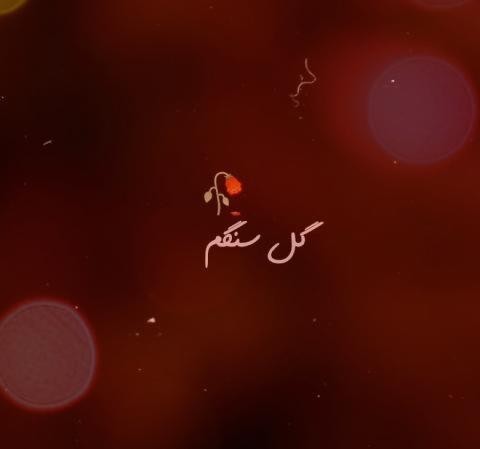 آهنگ هایده - گل سنگم گل سنگم