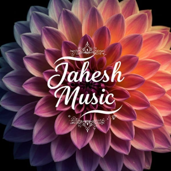 دانلود آهنگ راضی شدی از حامیم (هوش مصنوعی)