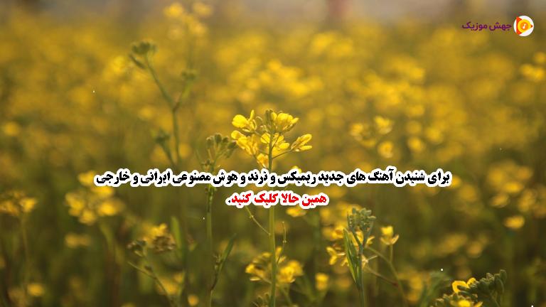 دانلود آهنگ میگفتی بری رگامه زدم (ریمیکس اینستا) از پیام عباسی