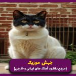 دانلود آهنگ من 2 از امیر تتلو “نسخه اصلی”