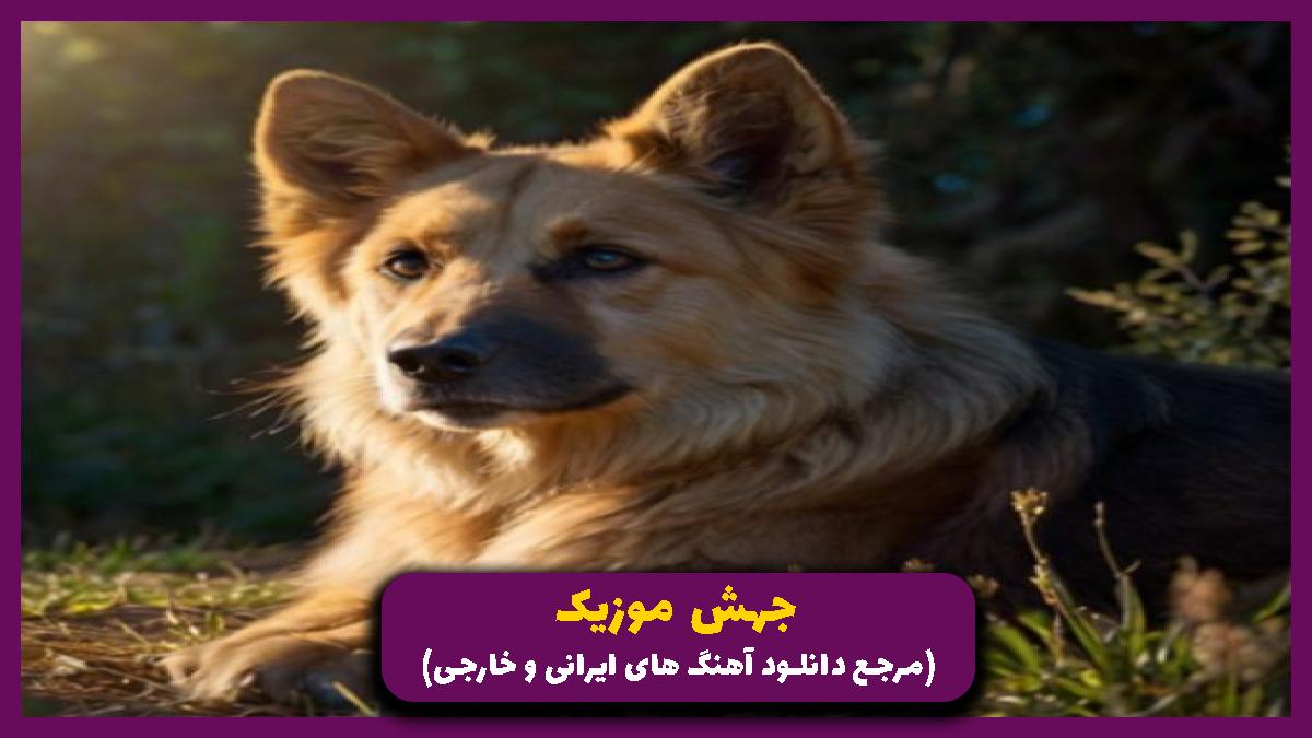 دانلود آهنگ کمبود از دیجی دارک از 
