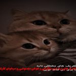 دانلود آهنگ سنگ تراش از روح الله کرمی “ورژن اصلی”