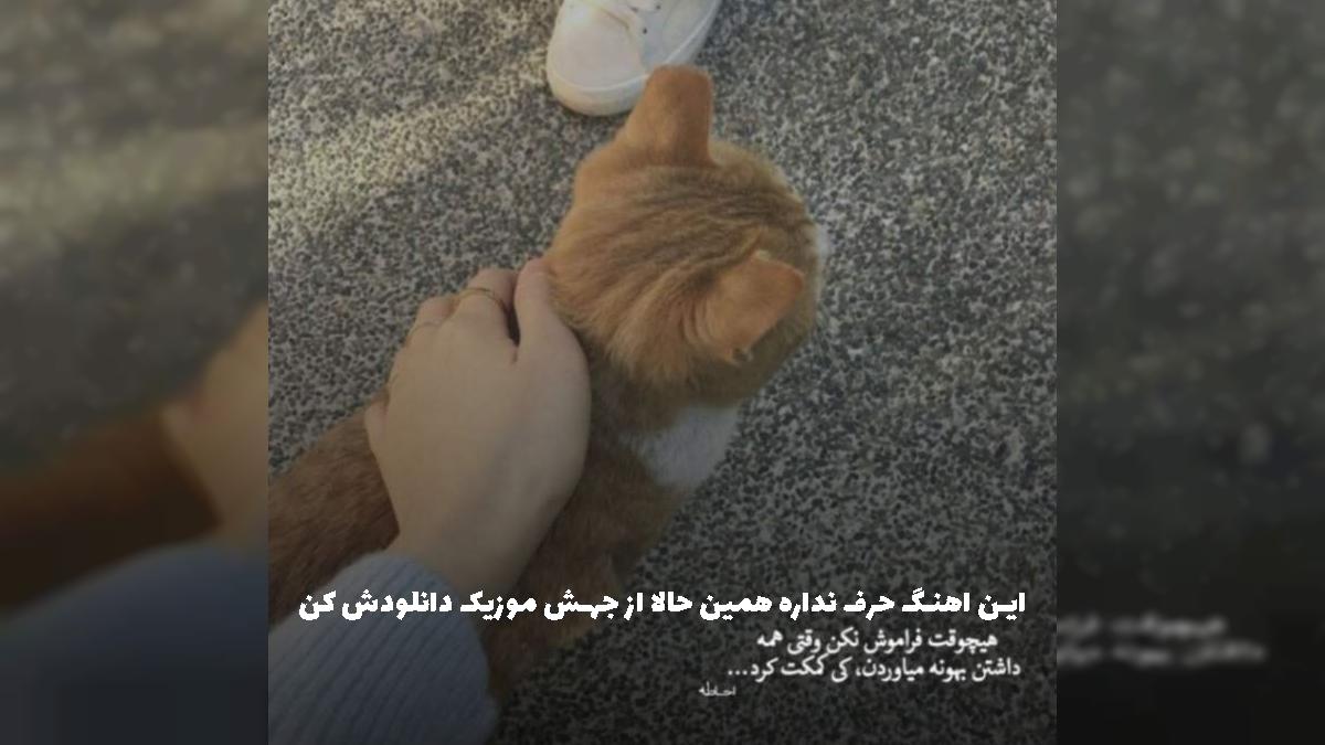 دانلود آهنگ چیشد حواسمون‌ پرت‌ شد این زندگی سخت شد - هوش مصنوعی از 