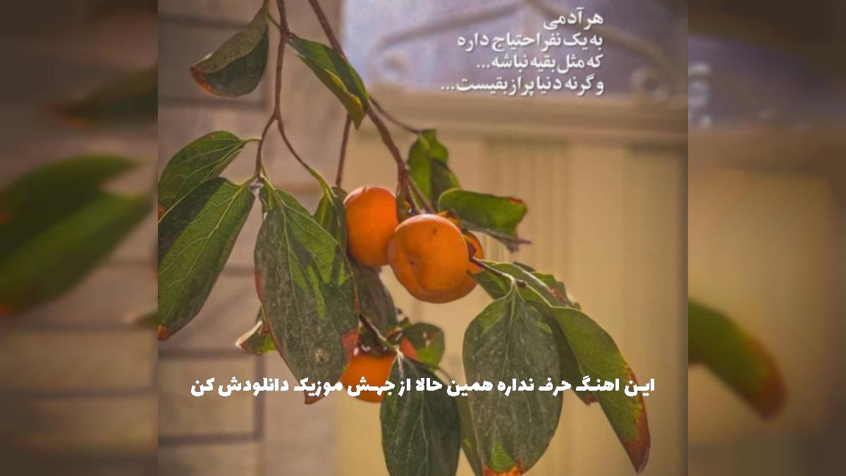 دانلود آهنگ مادرم زهرا از مهدی ذاکر
