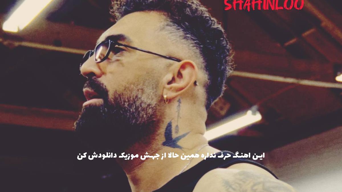 دانلود آهنگ استعفا از شاهین لو
