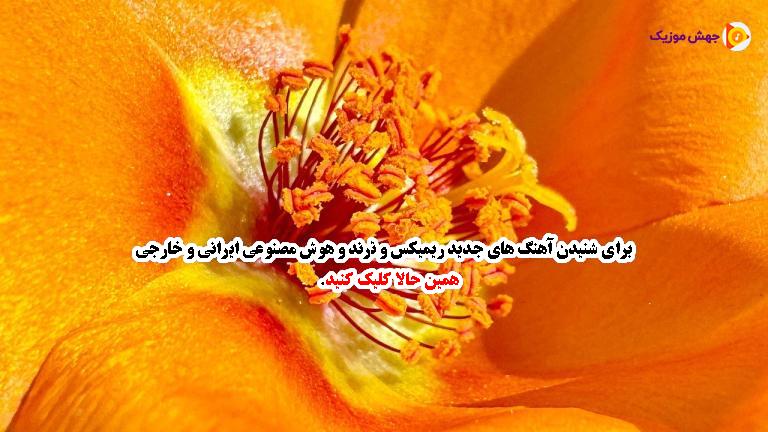 دانلود آهنگ دلبر شیرین مهربون یارم از 