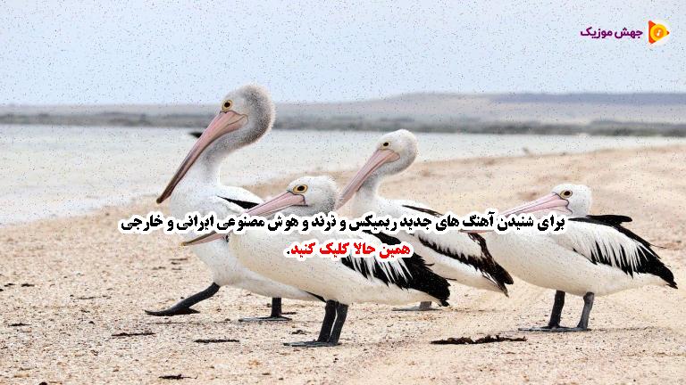 دانلود آهنگ آخه دوست دارم بمون با من بیا هرشب توی خوابم از کیارش