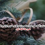 دانلود آهنگ دیوونه من عاشقتم ﺑﺎز ﺑﻜﻦ ﻣﻮﻫﺎﻣﻮ ﻧﺎزش از مجید رضوی