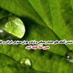 دانلود آهنگ انتخابت کردم آره حتی اگه اشتباهه از مجید رضوی
