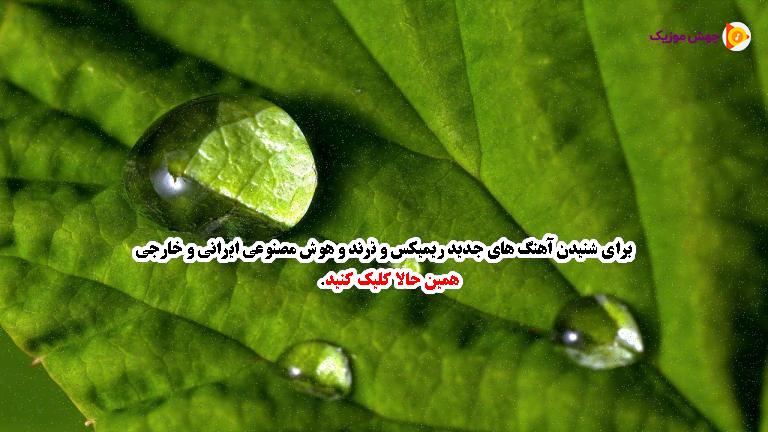 دانلود آهنگ انتخابت کردم آره حتی اگه اشتباهه از مجید رضوی