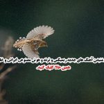 دانلود آهنگ درد شیرین من گناه توام اشتباه توام از رضا ملک زاده