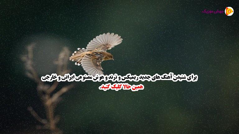 دانلود آهنگ درد شیرین من گناه توام اشتباه توام از رضا ملک زاده