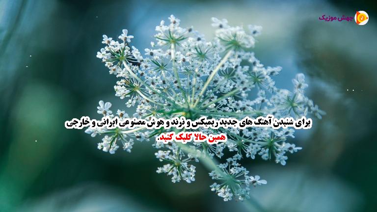 دانلود آهنگ عشق خودمیا خودم دورت میگردم (نسخه کامل) از مهرداد تاجیک