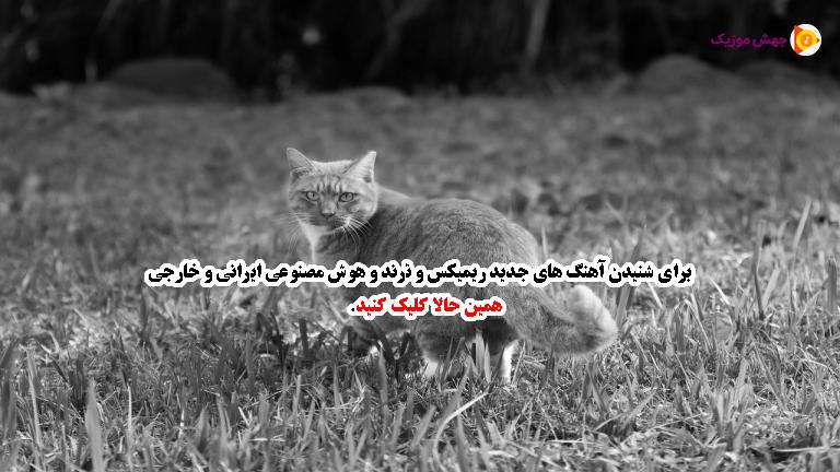 دانلود آهنگ پا بکوبن (ریمیکس احساسی) از محمد کیا
