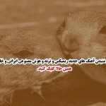 دانلود آهنگ کردی «طناب دار» از رامین کرمی – ترکیبی احساسی و سنگین برای لحظه‌های دلشکسته 💔