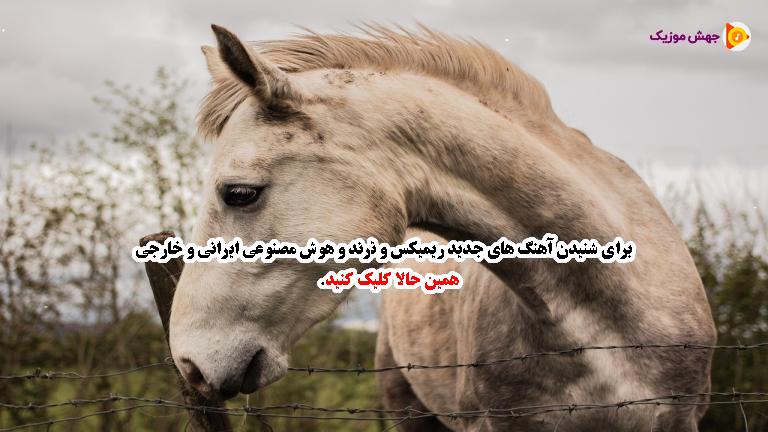 دانلود آهنگ غریب آشنا (ریمیکس احساسی) از شاهان