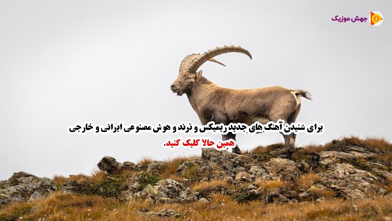 دانلود آهنگ پرواز از شاهین نجفی