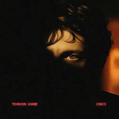دانلود آهنگ تهرون خوابه از کنیس