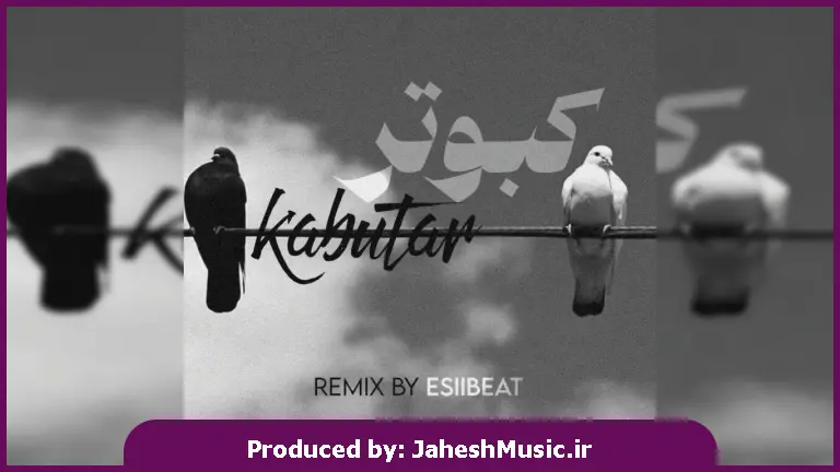 دانلود آهنگ کبوتر