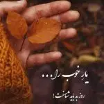 دانلود آهنگ دلتنگ توام که به داد دلم برسی “هوش مصنوعی” از هایده