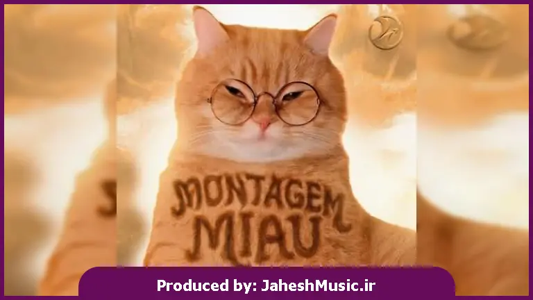 دانلود آهنگ Montagem Miau 