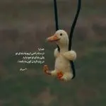 دانلود آهنگ گل عشق “در پی چشمت شهر به شهر خانه به خانه شدم روانه” از رضا بهرام