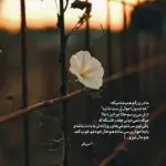 دانلود آهنگ پیش تو از شادمهر عقیلی