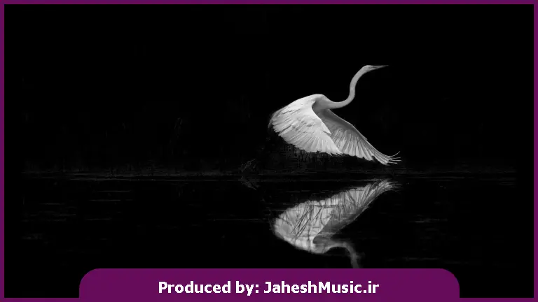 دانلود آهنگ تابوت