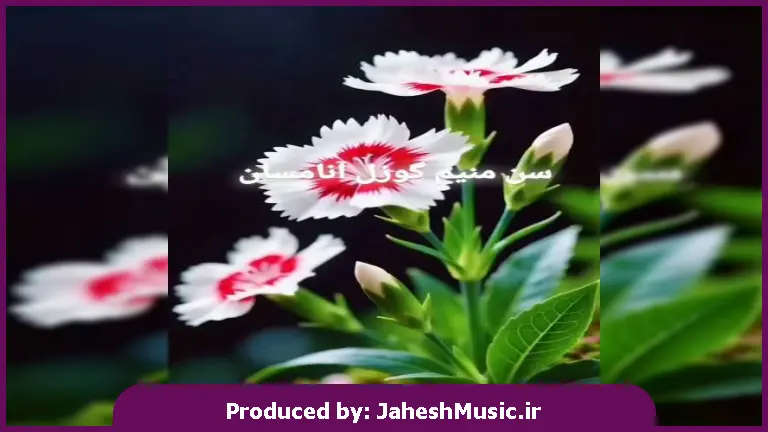 دانلود آهنگ ترکی آنا (سن منیم گوزل آنامسان) از دیجی اسمر