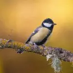 دانلود آهنگ عشق خیس “ریمیکس رپی احساسی با صدای زن” از دوژام