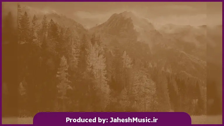 دانلود آهنگ خوبه الان راضی شدی از دل تنگم از دشی