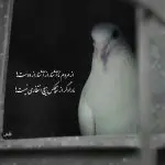 دانلود آهنگ شام اخر از ویناک