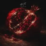دانلود آهنگ آخرین انار از ناجی و حسن بابا